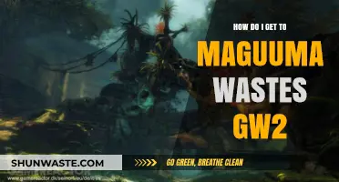 Navigating to Maguuma Wastes in Guild Wars 2: A Comprehensive Guide