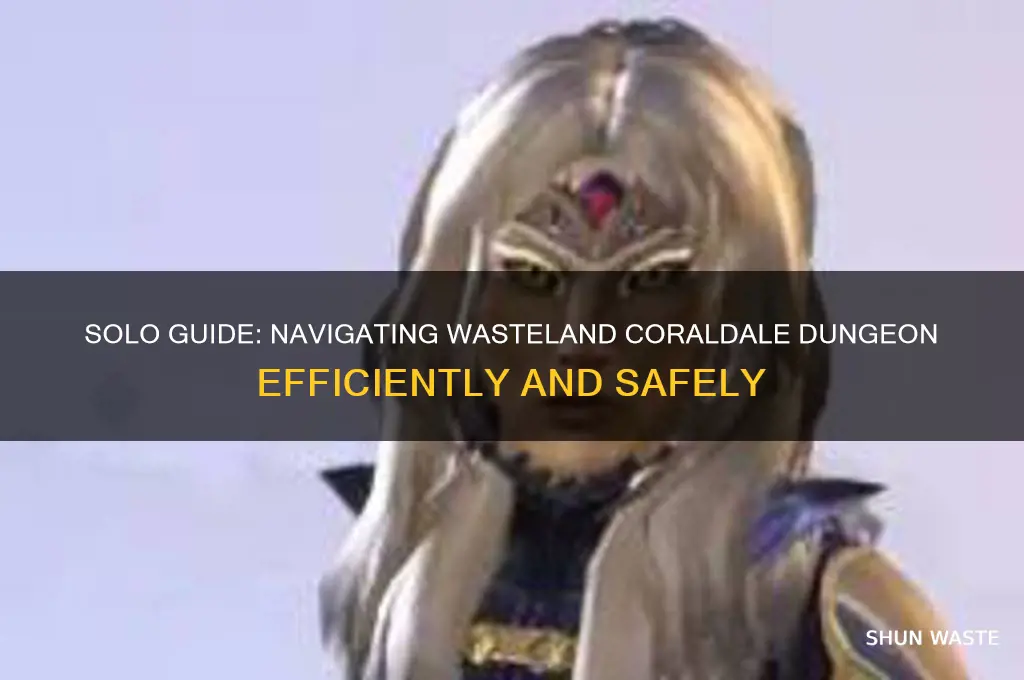 how do i get to wasten coraldale solo dungeon