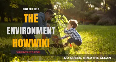 Sustainable Living: Practical Ways to Help the Environment HowWiki Guide