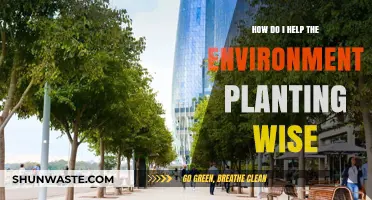 Planting for a Greener Future: Simple Steps to Help the Environment