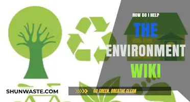 Simple Eco-Friendly Actions: How to Help the Environment Effectively