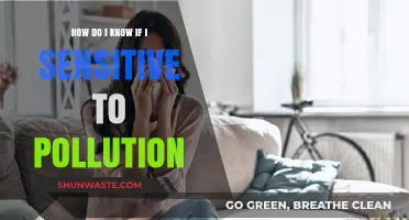 Am I Pollution Sensitive? Signs to Watch Out For