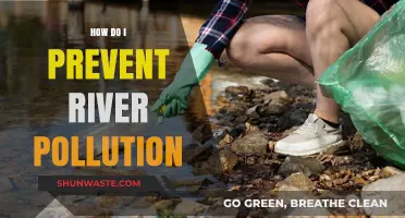 Protecting Rivers: Preventing Pollution and Preserving Nature