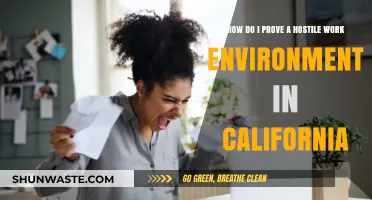 Proving a Hostile Work Environment in California: Essential Steps and Evidence