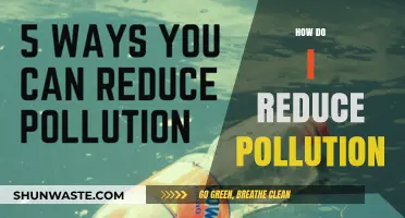 Green Steps to Reduce Pollution