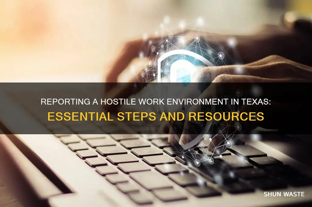 how do i report a hostile work environment in texas
