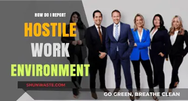 Reporting a Hostile Work Environment: Steps to Protect Your Rights