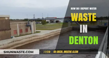 Report Water Waste in Denton: A Step-by-Step Guide to Conserving Resources