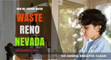 Reporting Water Waste in Reno, Nevada: A Step-by-Step Guide