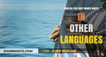 Hast Makes Waste: Global Proverbs for Patience in Multiple Languages