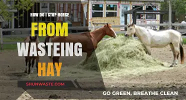 Prevent Hay Waste: Effective Strategies to Feed Your Horse Efficiently