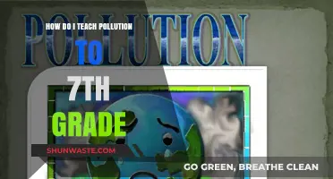 Understanding Pollution: Teaching 7th Graders the Basics