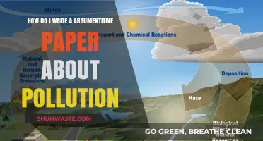 Writing an Argumentative Paper on Pollution