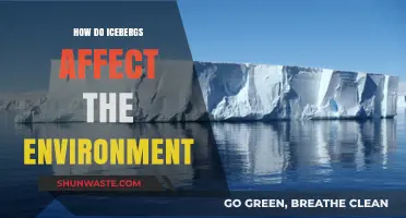Icebergs' Environmental Impact: Shaping Ecosystems and Climate Dynamics