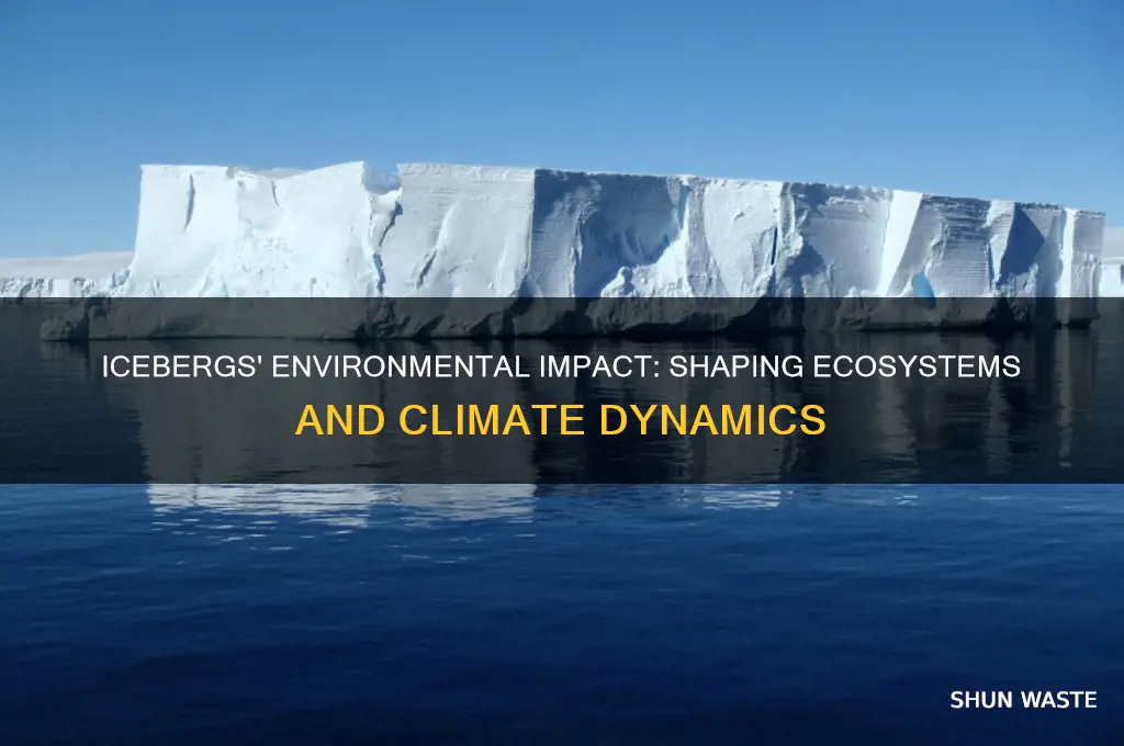 how do icebergs affect the environment