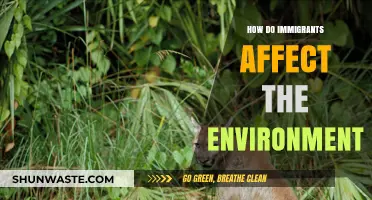 Immigration's Environmental Impact: Exploring the Complex Relationship and Sustainability