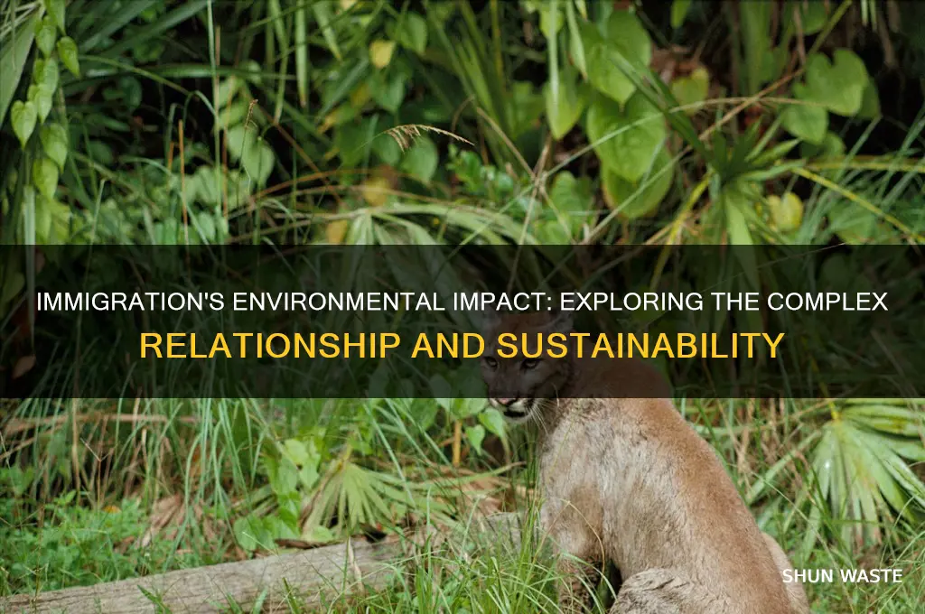 how do immigrants affect the environment