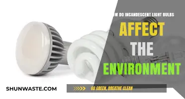 Incandescent Bulbs' Environmental Impact: Energy Waste and Carbon Footprint Explained