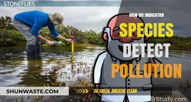 Indicators of Pollution: Species as Detectors