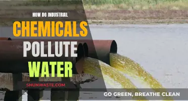 Unveiling the Toxic Secrets: Industrial Chemicals and Water Pollution