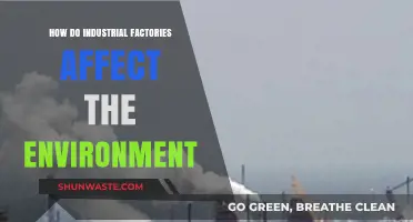 Industrial Factories' Environmental Impact: Pollution, Climate Change, and Ecosystem Destruction