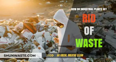 Efficient Waste Management Strategies for Industrial Plants: Methods and Best Practices