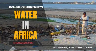 Industries' Impact on Africa's Polluted Waters