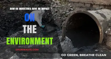 Industrial Activities: Environmental Impacts and Sustainable Solutions Explored