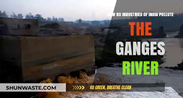 Industries' Pollution of the Holy Ganges River