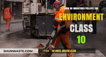 Industries' Environmental Impact: Pollution Sources and Prevention