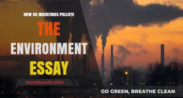 Industries' Environmental Impact: Pollution and its Causes