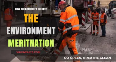 Industries' Environmental Impact: Polluting Our Planet