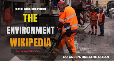 Industrial Pollution: A Global Environmental Crisis