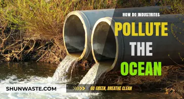 Ocean Pollution: Industries' Impact and Responsibility