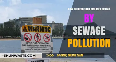 Sewage Pollution: A Breeding Ground for Infectious Diseases