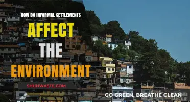 Informal Settlements' Environmental Impact: Challenges and Sustainable Solutions Explored