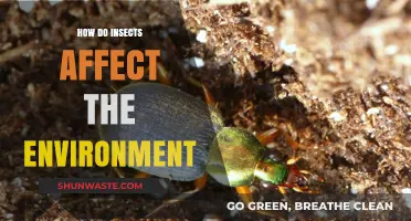 Insects' Environmental Impact: Pollination, Decomposition, and Ecosystem Balance Explained