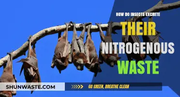 Insect Nitrogen Waste: Unveiling Their Unique Excretion Mechanisms