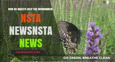 Insects' Vital Role: Boosting Ecosystems and Environmental Health