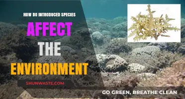 Invasive Species: Environmental Impacts and Ecosystem Disruption Explained