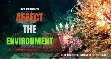 Invasive Species: Unseen Threats to Ecosystems and Environmental Balance