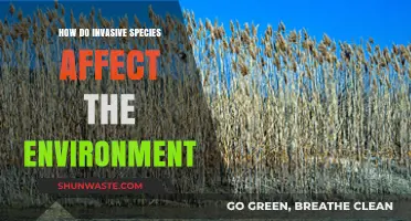 Invasive Species: Unraveling Their Devastating Impact on Ecosystems and Biodiversity