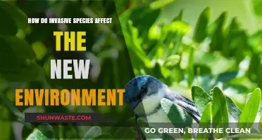 Invasive Species: Disrupting Ecosystems and Transforming New Environments