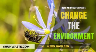 Invasive Species: Transforming Ecosystems and Disrupting Environmental Balance