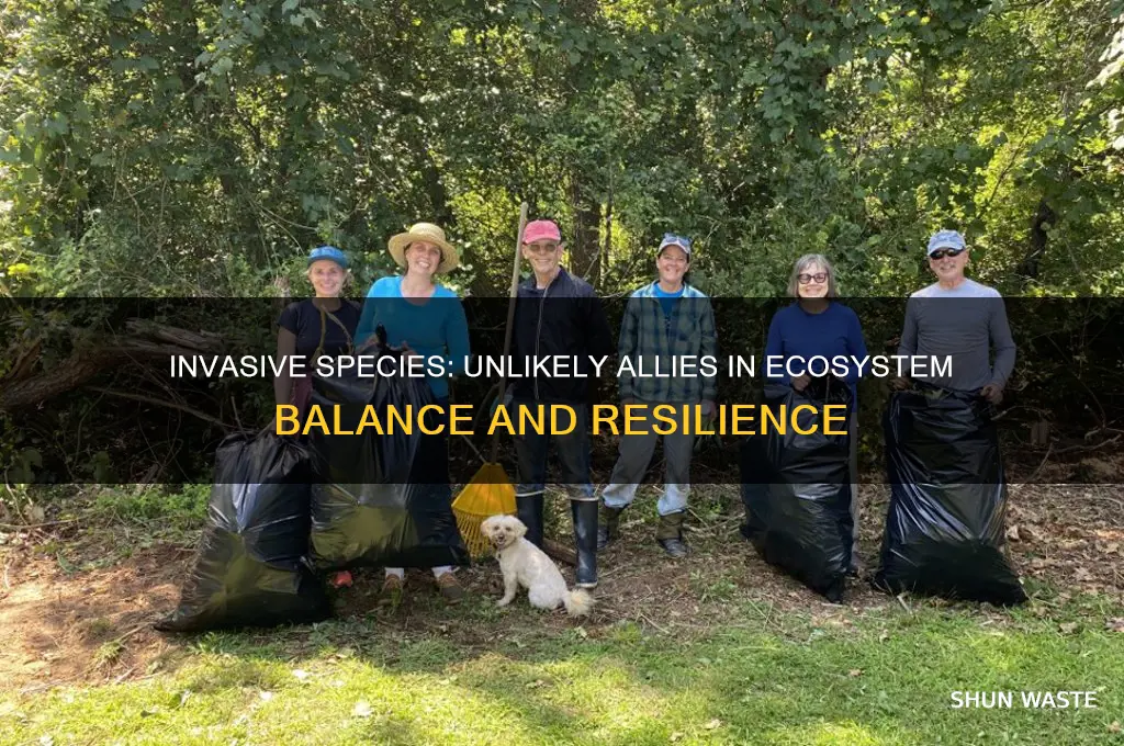 how do invasive species help the environment