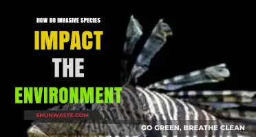 Invasive Species: Unraveling Their Devastating Environmental Impacts and Consequences