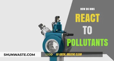 Ions' Reaction to Pollutants: A Complex Dance