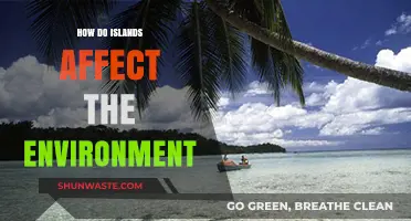 Islands' Environmental Impact: Ecosystems, Biodiversity, and Climate Influence Explored