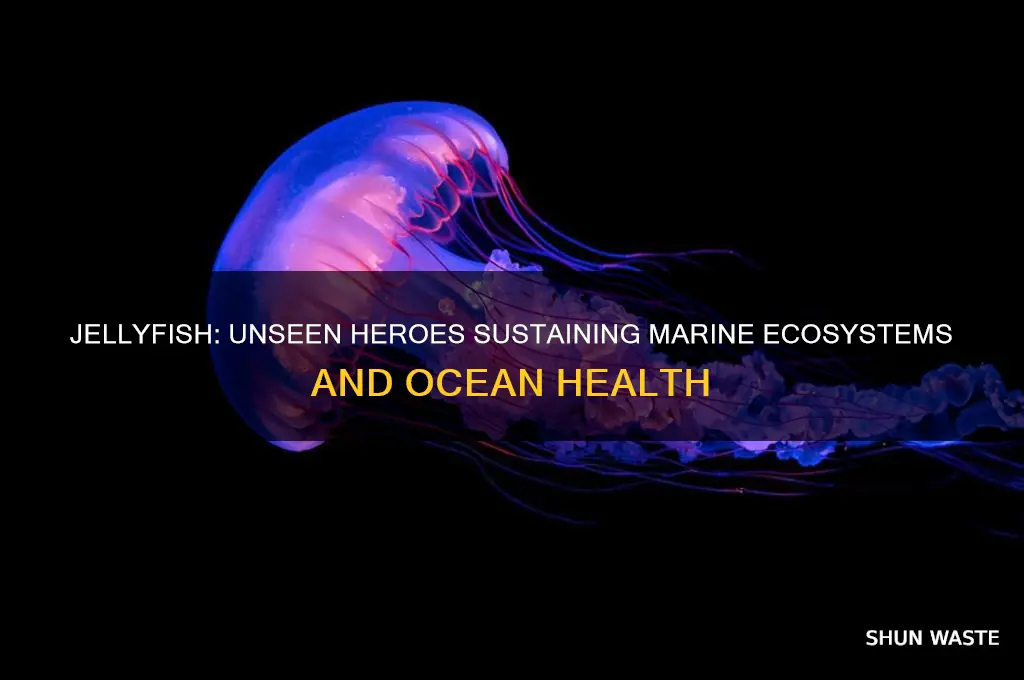 how do jellyfish help the environment