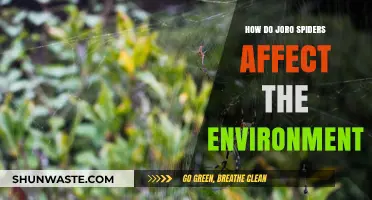 Joro Spiders' Environmental Impact: Benefits, Risks, and Ecosystem Changes